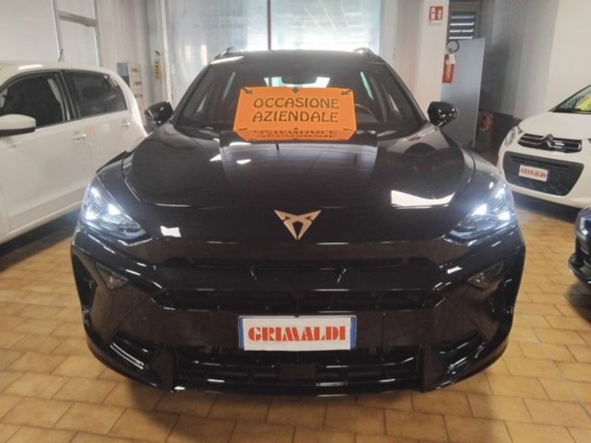 Cupra Formentor Formentor 2.0 TDI (2)