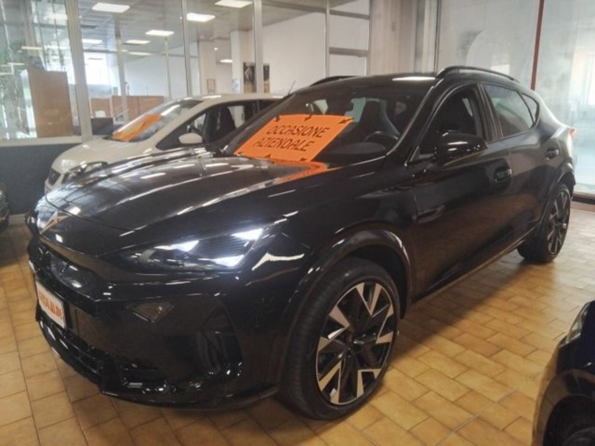 Cupra Formentor Formentor 2.0 TDI (3)