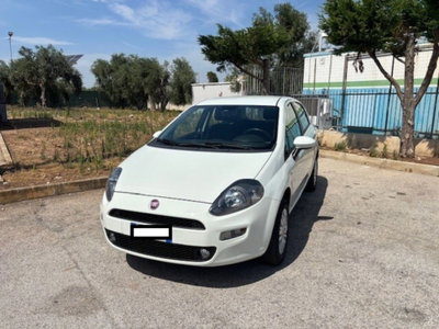 Fiat Punto 1.4 8V 5 porte Natural Power Lounge usata