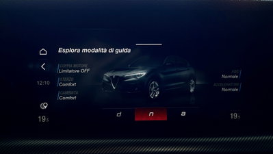 Alfa Romeo Stelvio Stelvio 2.2 Turbodiesel 210 CV AT8 Q4 Veloce (16)