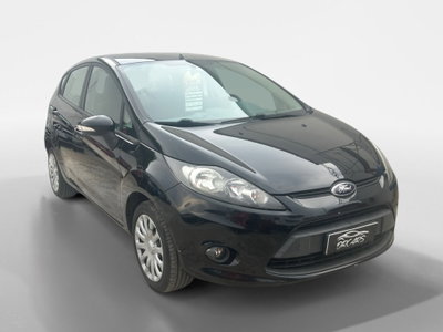 Ford Fiesta 1.4 5 porte Bz.- GPL Titanium (8)