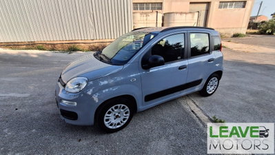 Fiat Panda 1.2 Easy usata