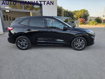 Ford Kuga 2.0 EcoBlue 120 CV aut. AWD ST-Line (2)
