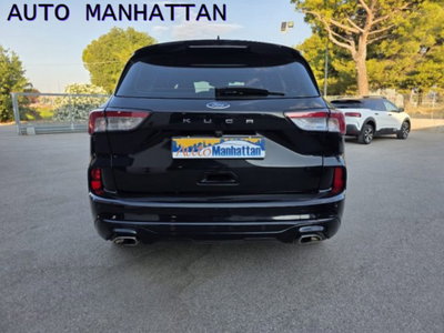 Ford Kuga 2.0 EcoBlue 120 CV aut. AWD ST-Line (3)