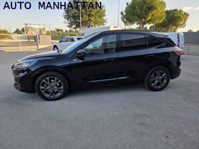 Ford Kuga 2.0 EcoBlue 120 CV aut. AWD ST-Line (4)