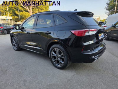 Ford Kuga 2.0 EcoBlue 120 CV aut. AWD ST-Line (6)
