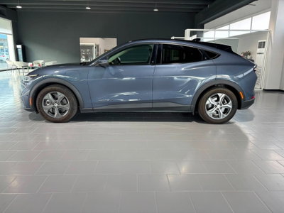 Ford Mustang Mach-E Extended 294CV (2)
