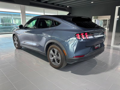 Ford Mustang Mach-E Extended 294CV (3)