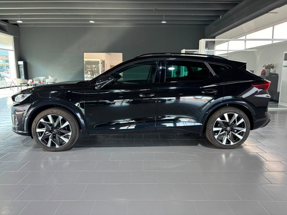 Cupra Formentor Formentor 1.5 TSI (2)