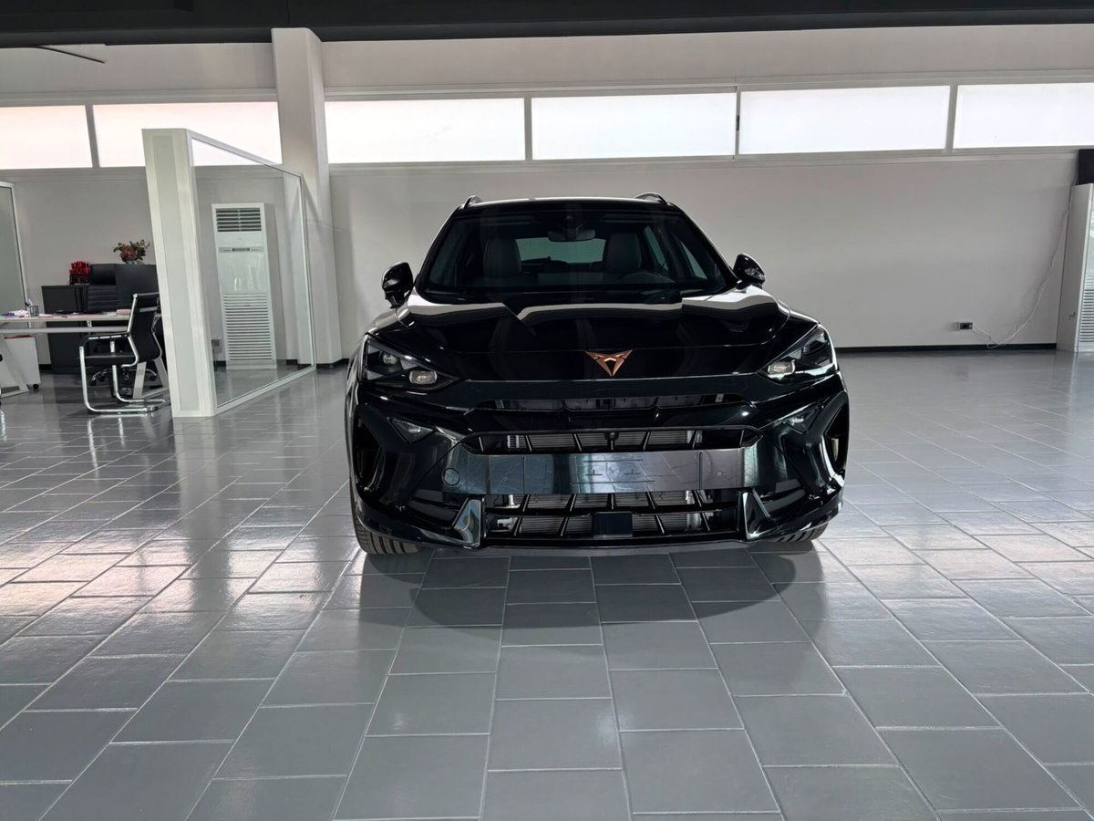 Cupra Formentor Formentor 1.5 TSI (8)