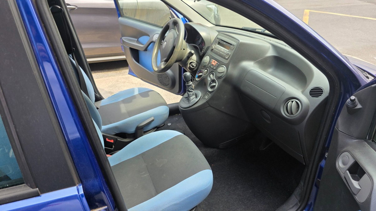 Fiat Panda 1.2 Climbing Natural Power (10)