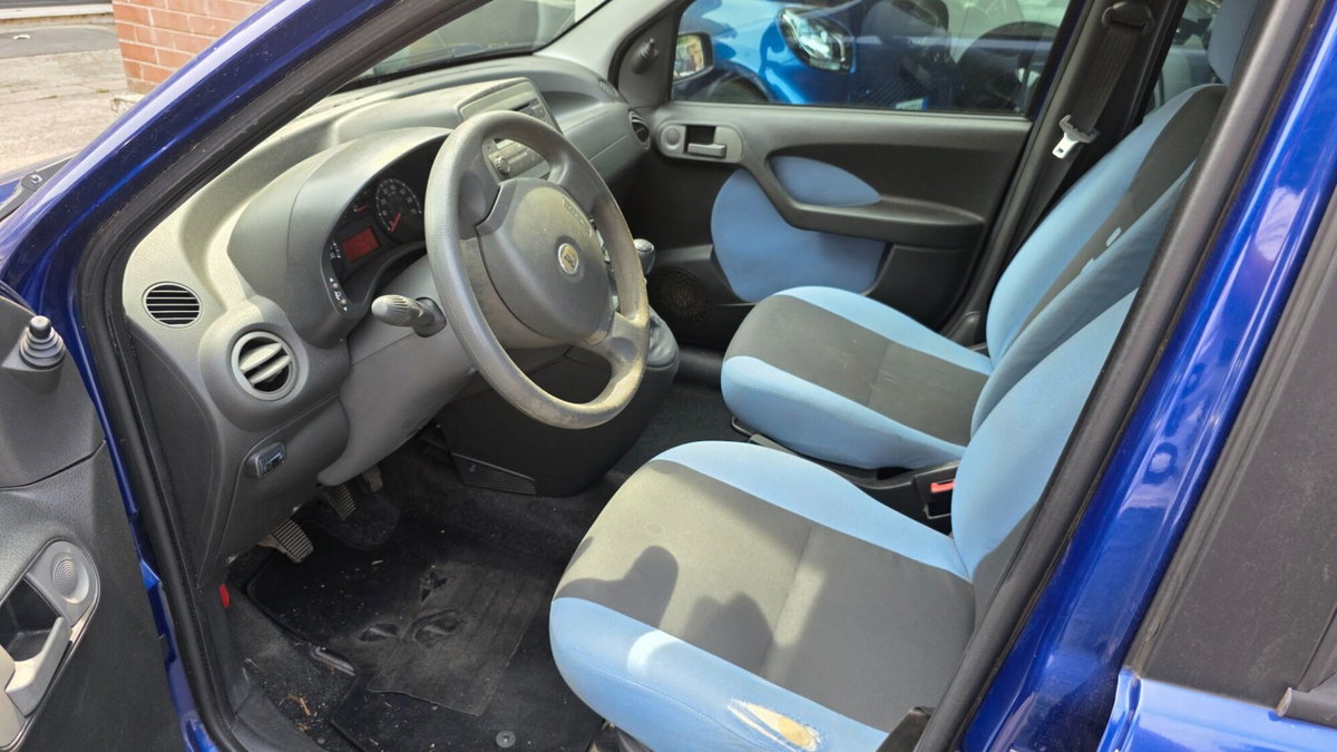 Fiat Panda 1.2 Climbing Natural Power (7)