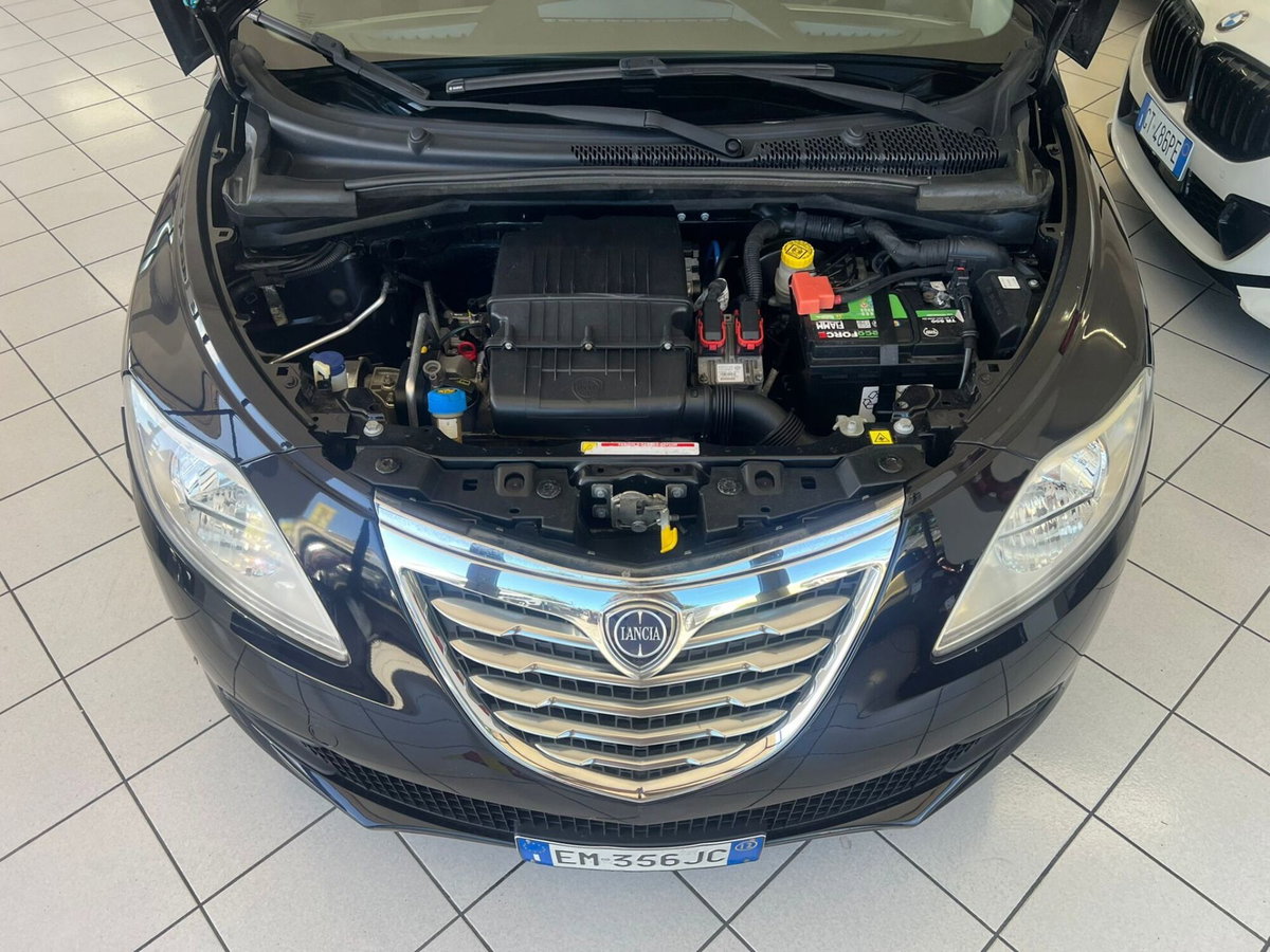 Lancia Ypsilon 1.2 69 CV 5 porte Platinum (11)