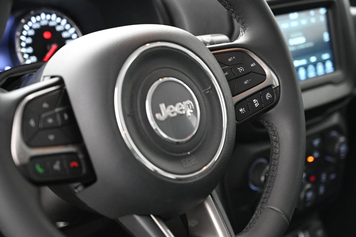 Jeep Renegade 1.6 Mjt 130 CV Limited (14)