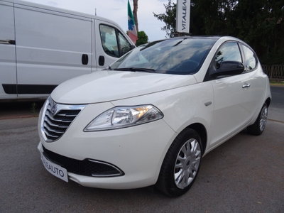 Lancia Ypsilon 1.2 69 CV 5 porte Platinum usata