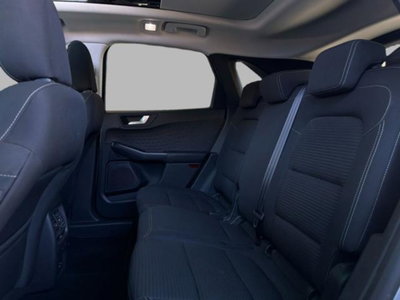 Ford Kuga 1.5 EcoBlue 120 CV aut. 2WD ST-Line X Design (13)