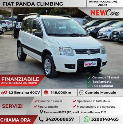 Fiat Panda 1.2 Climbing Natural Power usata