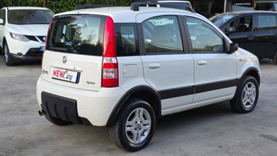Fiat Panda 1.2 Climbing Natural Power (6)