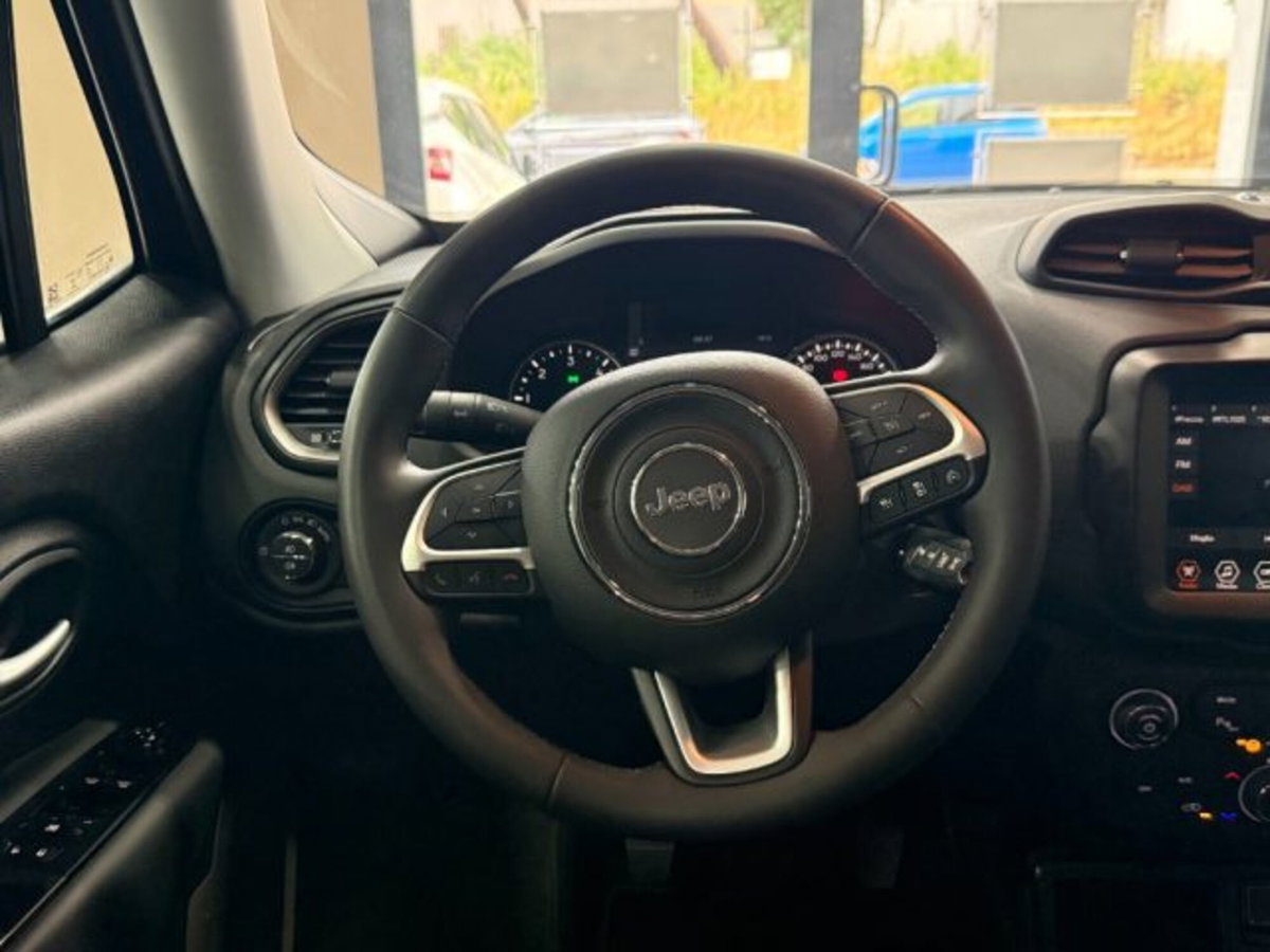 Jeep Renegade 1.6 Mjt 130 CV Limited (14)