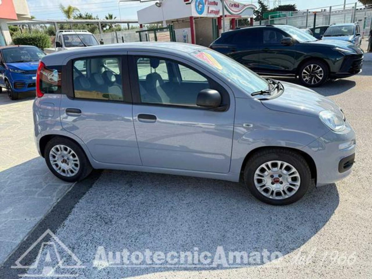Fiat Panda 1.0 firefly hybrid s&s 70cv 5p.ti (3)