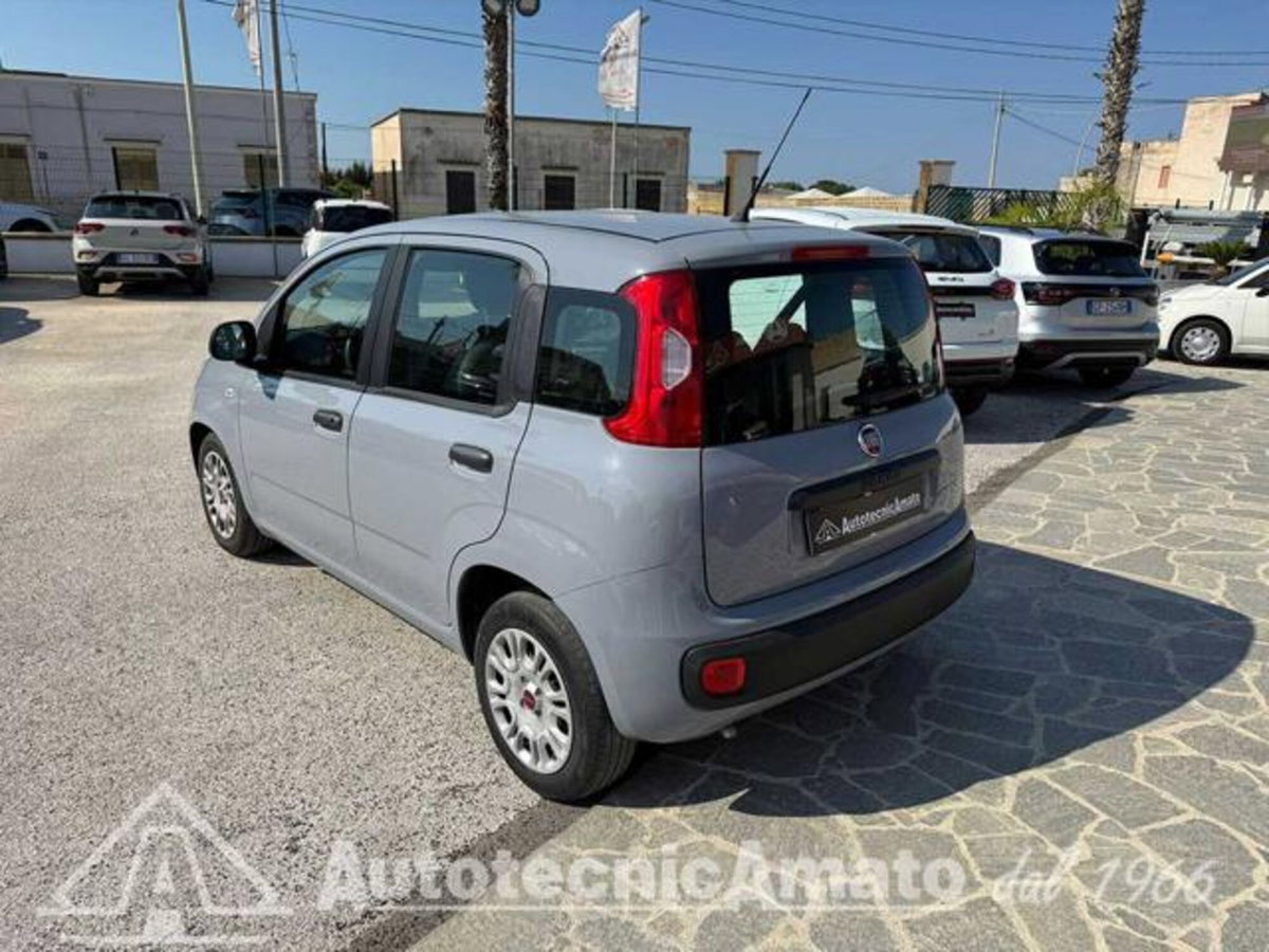 Fiat Panda 1.0 firefly hybrid s&s 70cv 5p.ti (8)