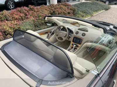 Mercedes-Benz SL 350 cat (13)