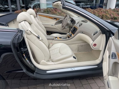 Mercedes-Benz SL 350 cat (15)