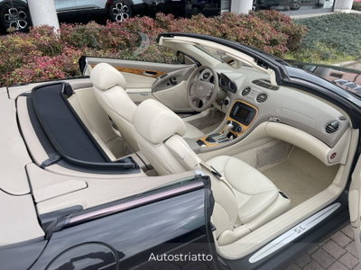 Mercedes-Benz SL 350 cat (16)