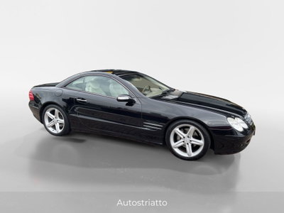Mercedes-Benz SL 350 cat (3)