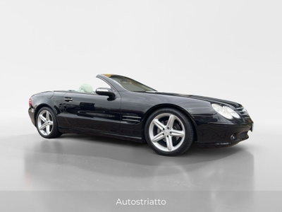 Mercedes-Benz SL 350 cat (5)