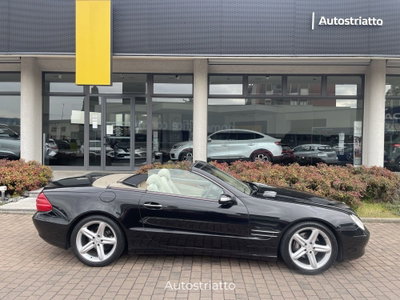 Mercedes-Benz SL 350 cat (7)