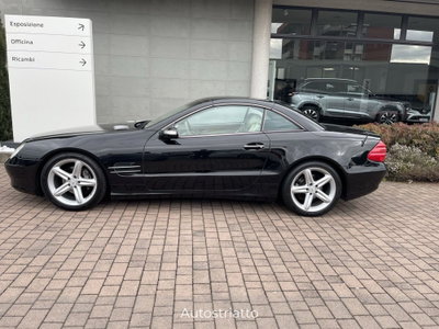 Mercedes-Benz SL 350 cat (8)