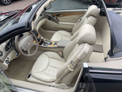 Mercedes-Benz SL 350 cat (9)