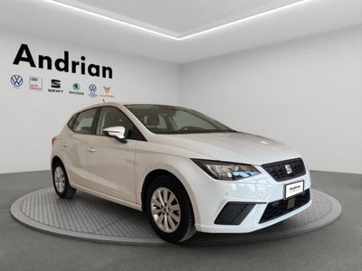 SEAT Ibiza 1.0 EcoTSI 110 CV 5 porte Style (4)