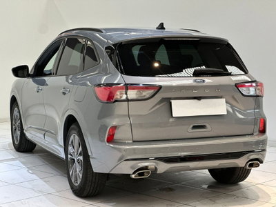Ford Kuga 1.5 EcoBoost 150 CV 2WD ST-Line (3)