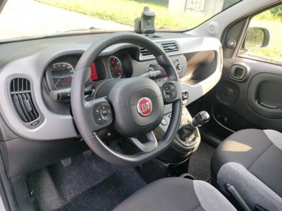 Fiat Panda Cross Cross 1.0 FireFly S&S Hybrid (10)