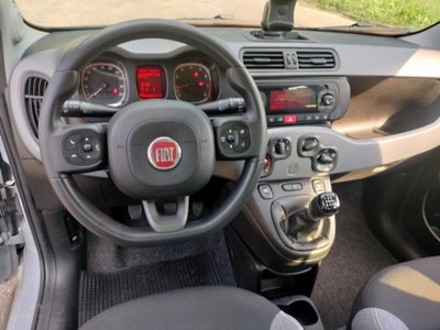 Fiat Panda Cross Cross 1.0 FireFly S&S Hybrid (11)