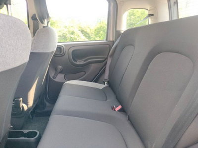 Fiat Panda Cross Cross 1.0 FireFly S&S Hybrid (16)