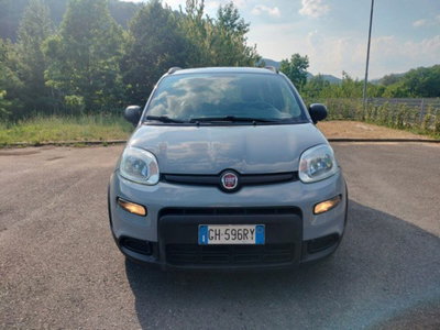 Fiat Panda Cross Cross 1.0 FireFly S&S Hybrid (2)