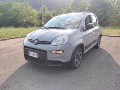 Fiat Panda Cross Cross 1.0 FireFly S&S Hybrid (3)