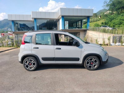 Fiat Panda Cross Cross 1.0 FireFly S&S Hybrid (4)
