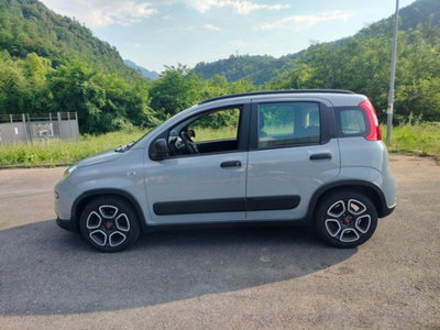 Fiat Panda Cross Cross 1.0 FireFly S&S Hybrid (5)
