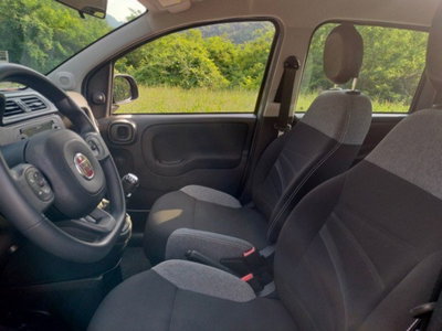 Fiat Panda Cross Cross 1.0 FireFly S&S Hybrid (9)