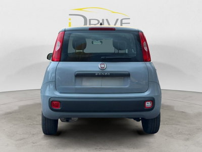 Fiat Panda 1.2 GPL Van Active 2 posti (5)