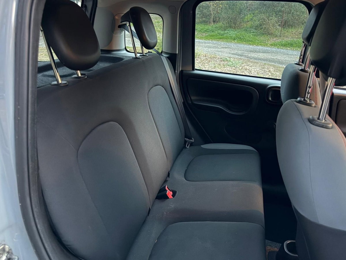 Fiat Panda Cross Cross 1.0 FireFly S&S Hybrid (10)