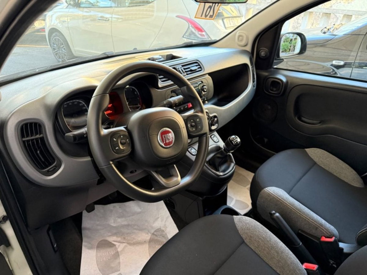 Fiat Panda Cross Cross 1.0 FireFly S&S Hybrid (6)