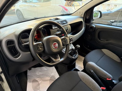 Fiat Panda Cross Cross 1.0 FireFly S&S Hybrid (6)