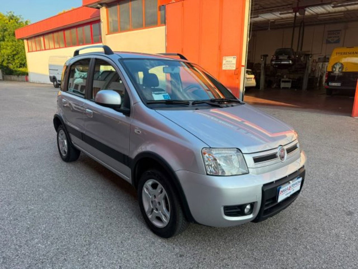 Fiat Panda 1.2 Dynamic Natural Power (3)