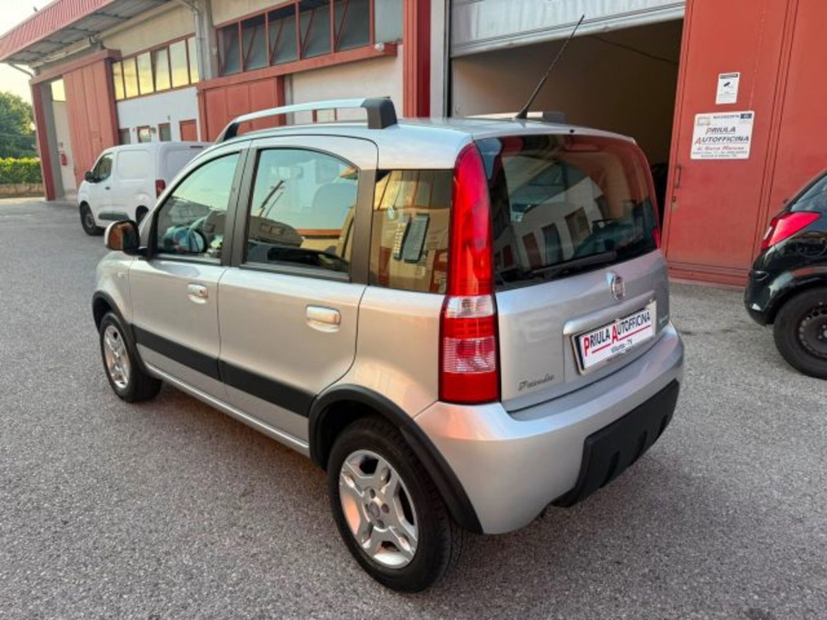 Fiat Panda 1.2 Dynamic Natural Power (4)