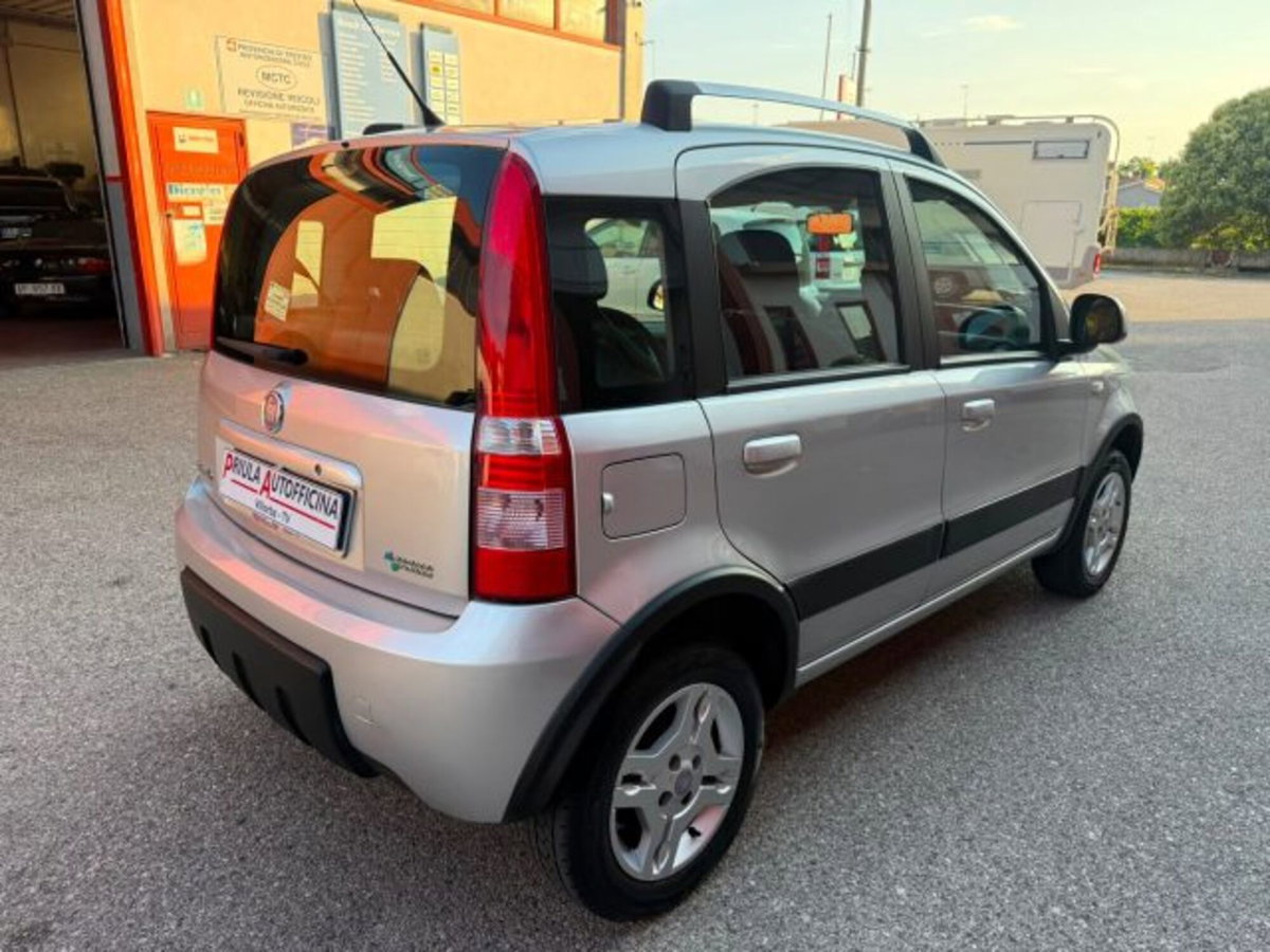 Fiat Panda 1.2 Dynamic Natural Power (5)